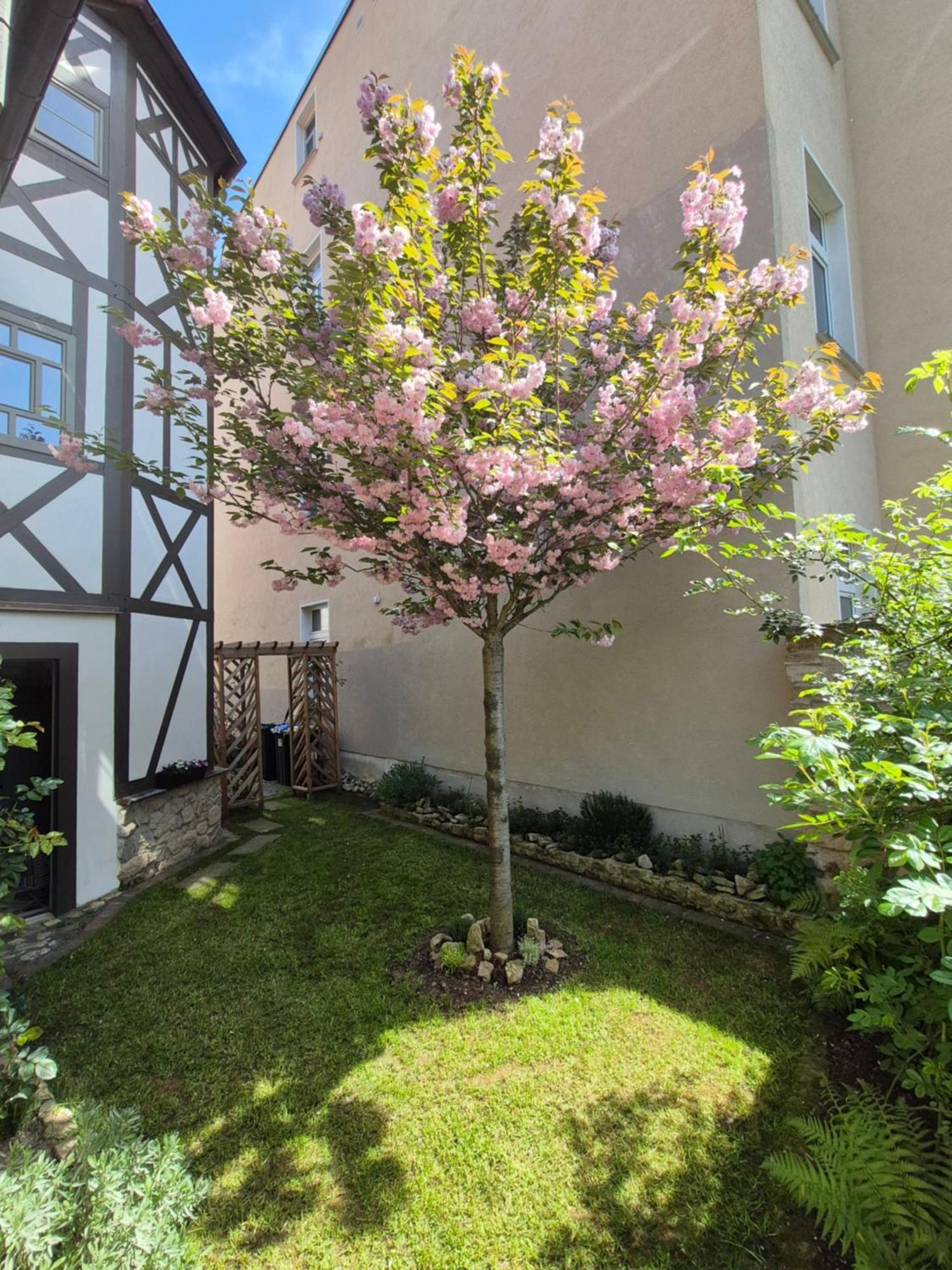 Aussergewoehnliches, Historisches, Spaetgotisches Wohnhaus Von 1519, Gries 5 Гера Екстер'єр фото