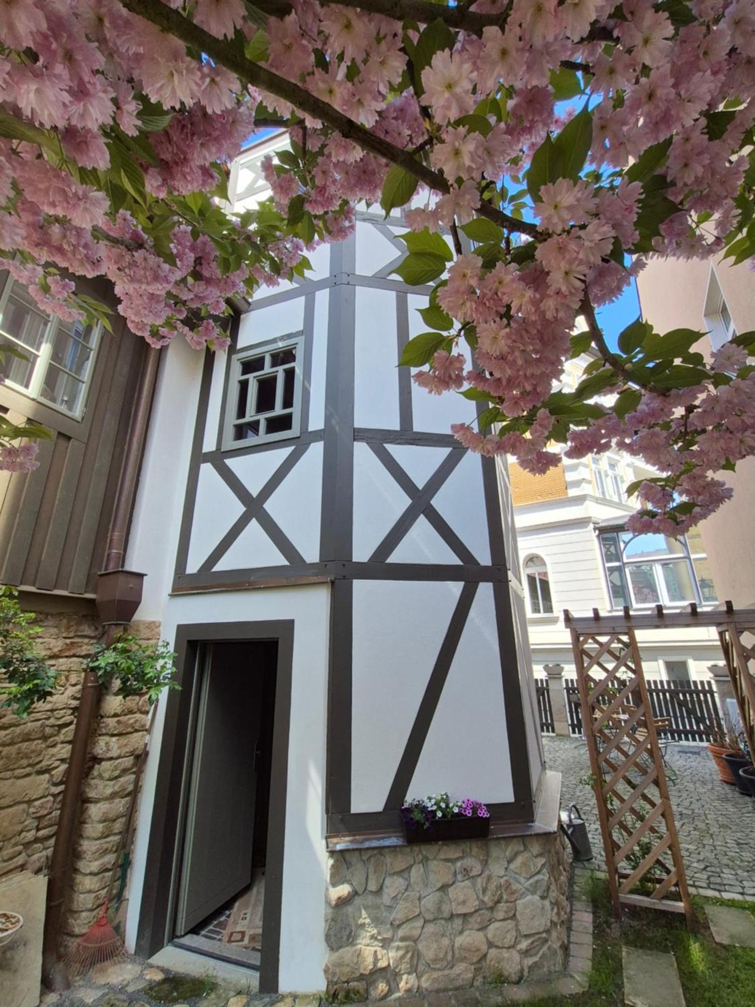 Aussergewoehnliches, Historisches, Spaetgotisches Wohnhaus Von 1519, Gries 5 Гера Екстер'єр фото